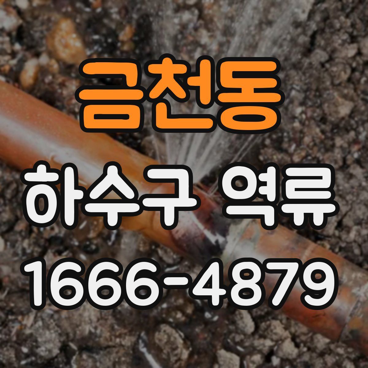 금천동 하수구 역류