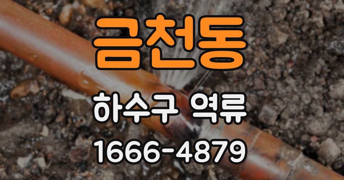 금천동 하수구 역류