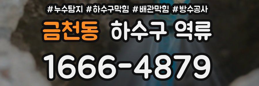 금천동 하수구 역류