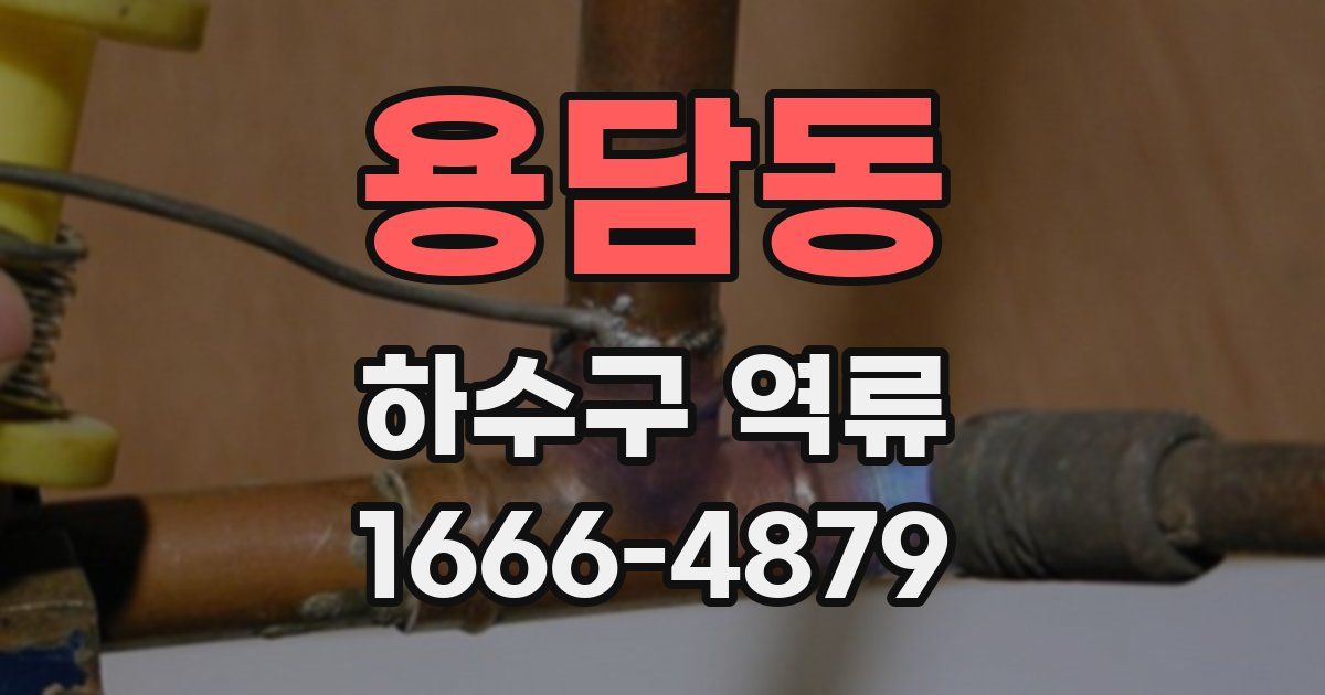용담동 하수구 역류