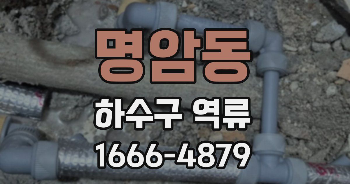 명암동 하수구 역류