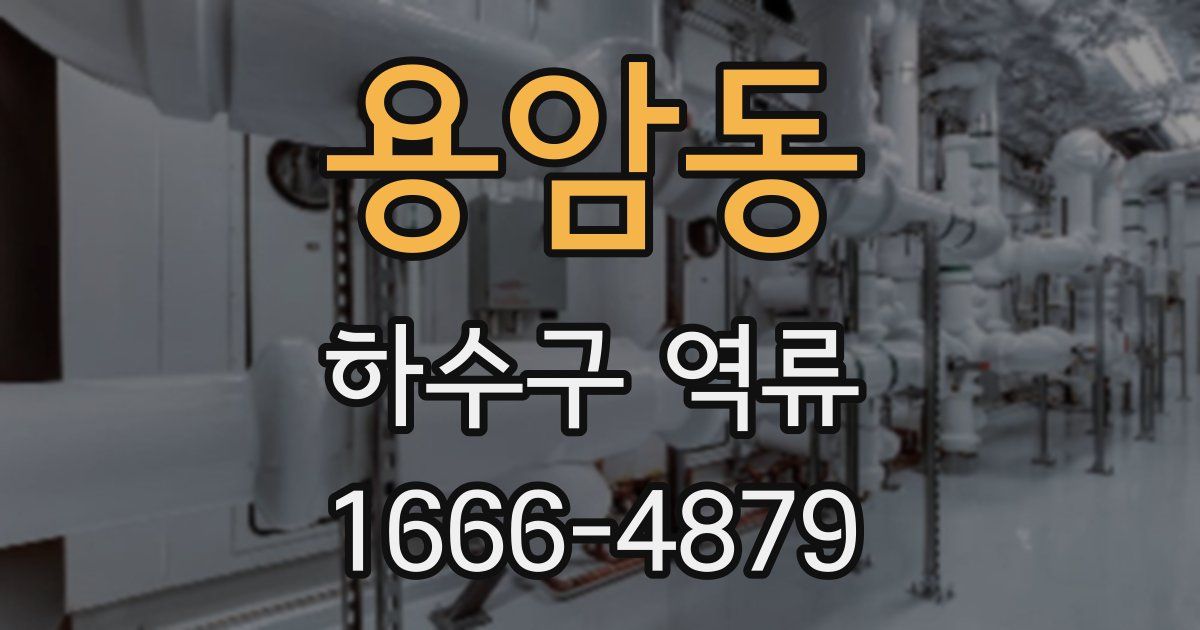 용암동 하수구 역류