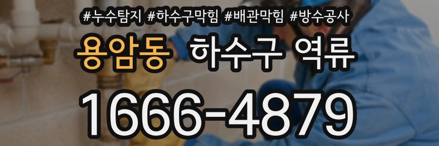 용암동 하수구 역류