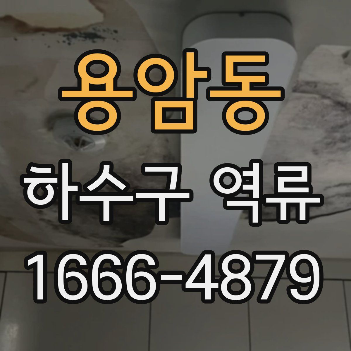 용암동 하수구 역류