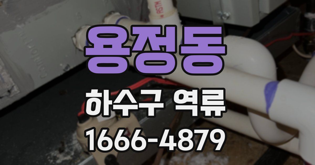 용정동 하수구 역류