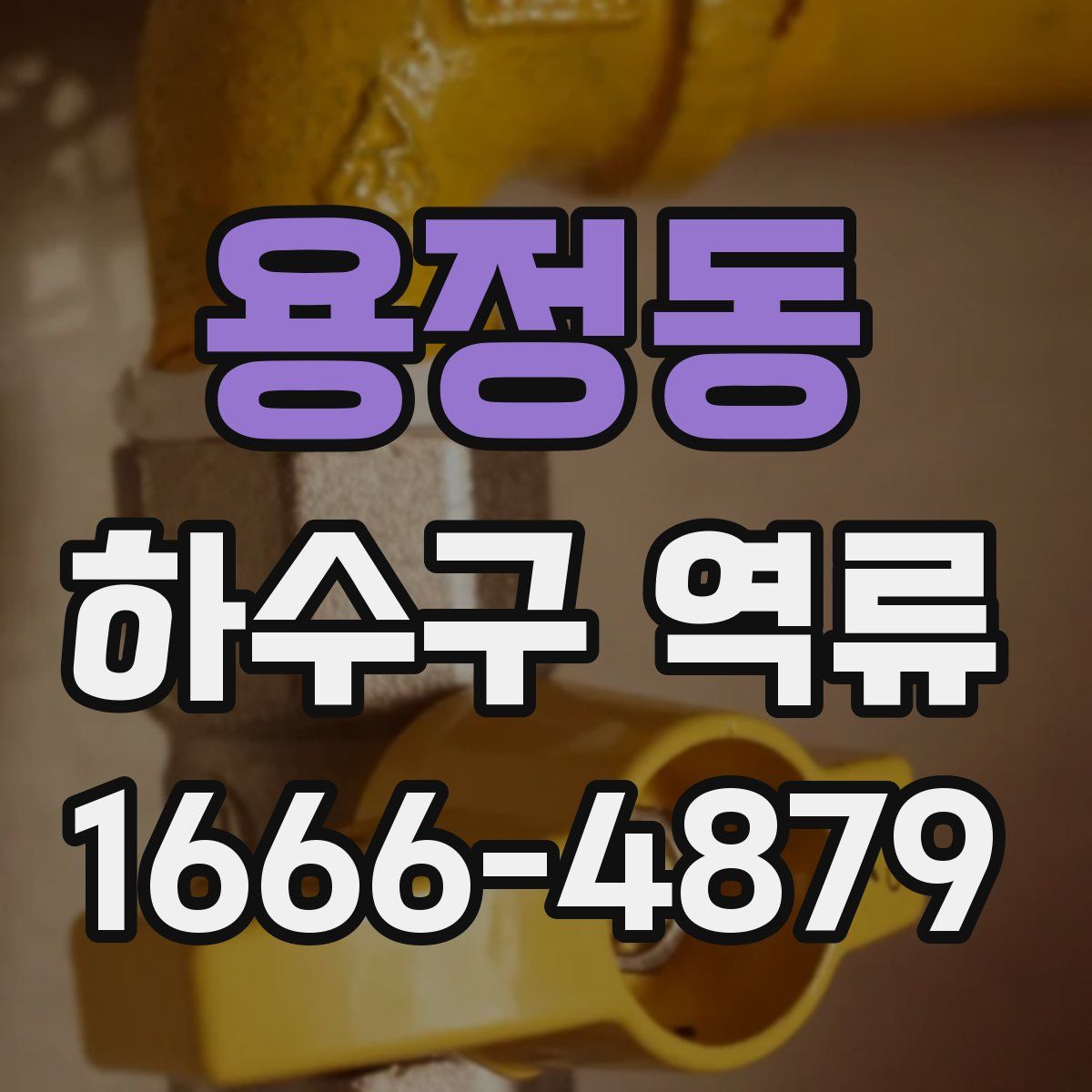 용정동 하수구 역류
