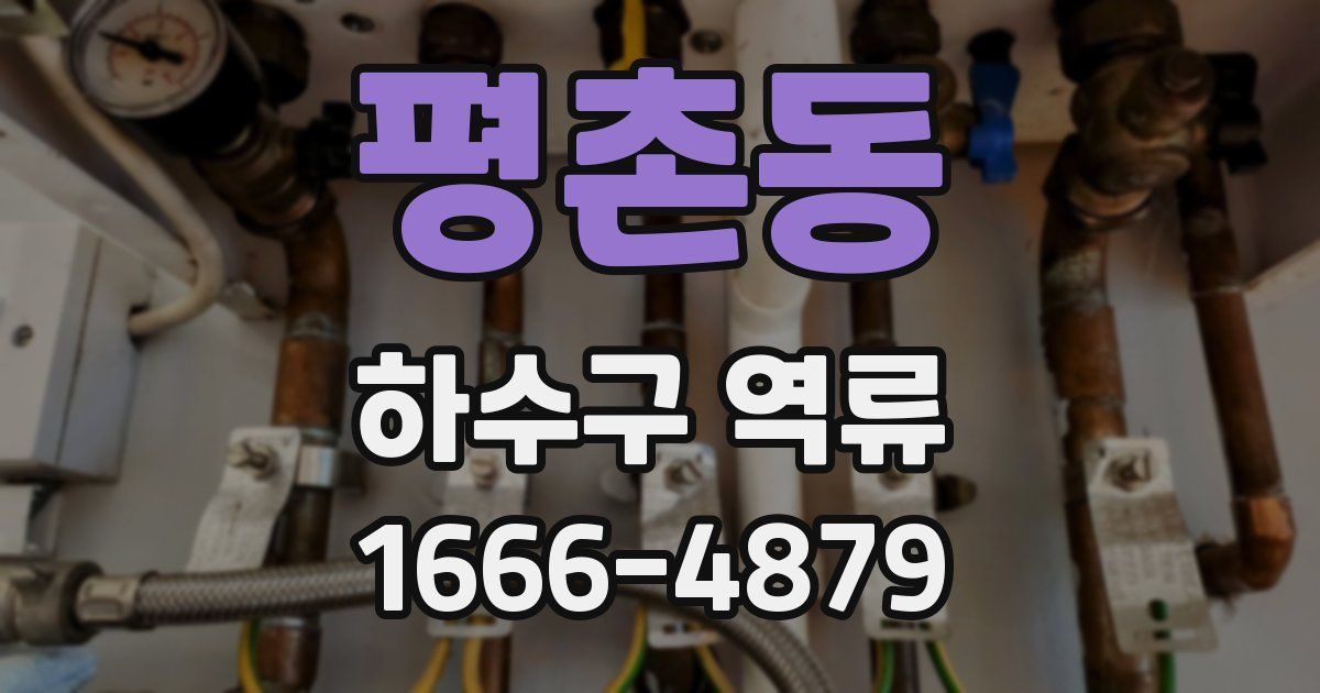 평촌동 하수구 역류