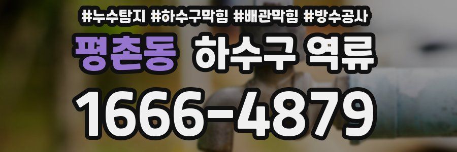 평촌동 하수구 역류