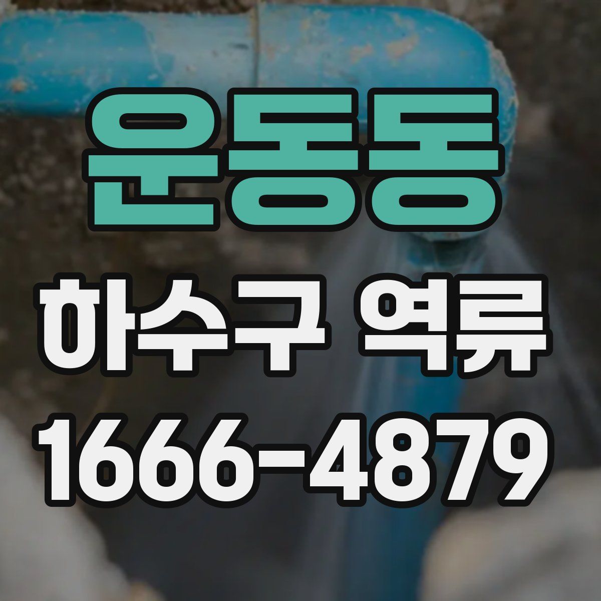 운동동 하수구 역류