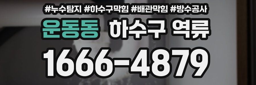 운동동 하수구 역류