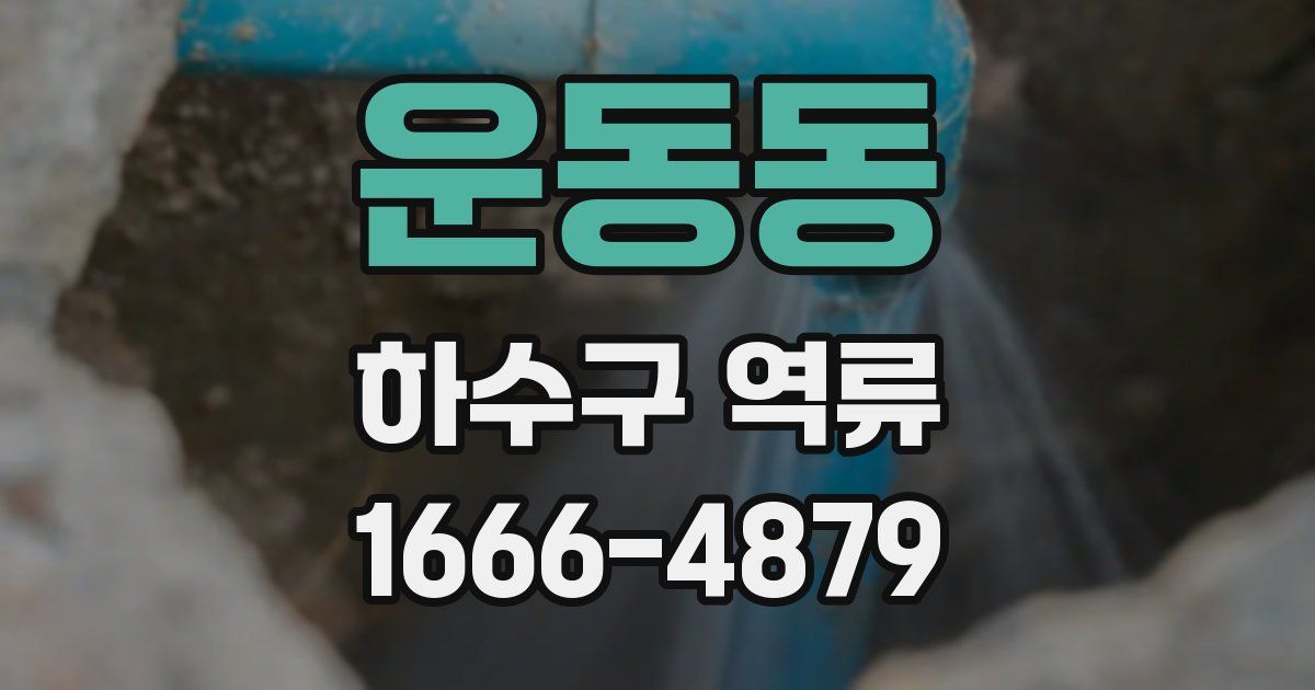 운동동 하수구 역류