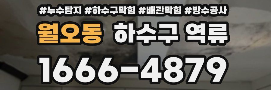 월오동 하수구 역류