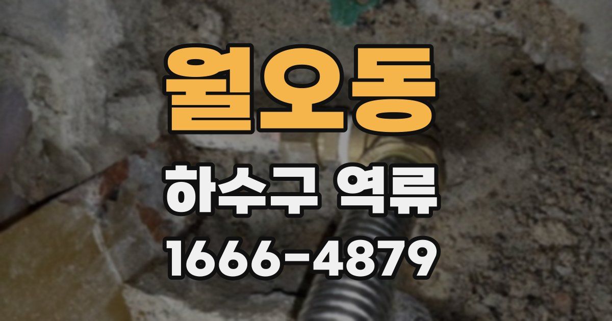 월오동 하수구 역류