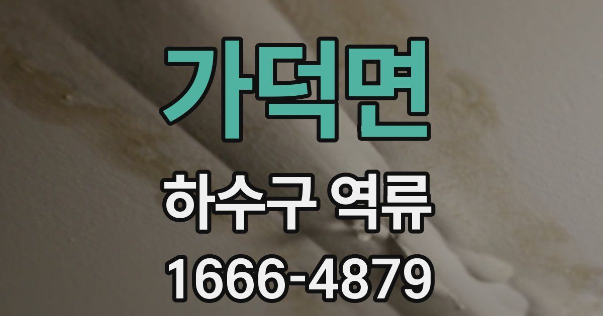 가덕면 하수구 역류
