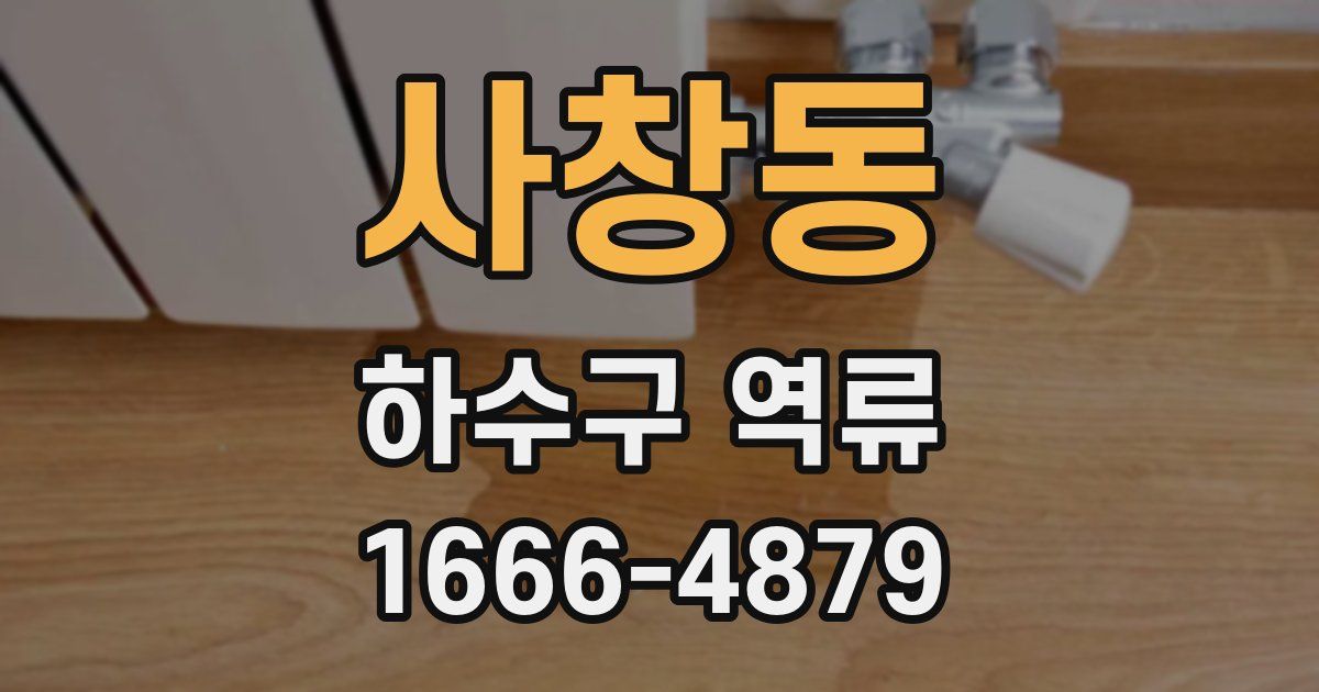 사창동 하수구 역류