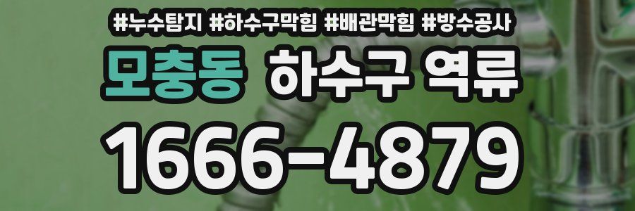 모충동 하수구 역류