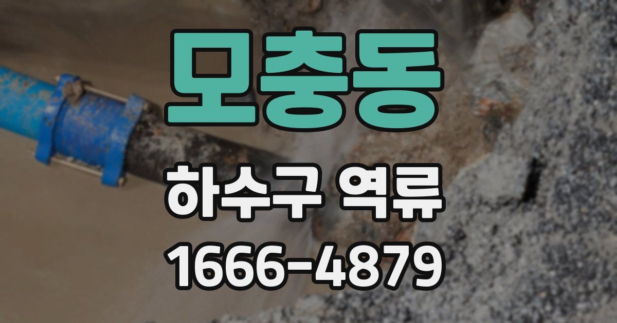 모충동 하수구 역류