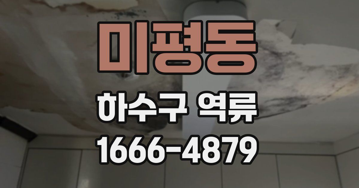 미평동 하수구 역류