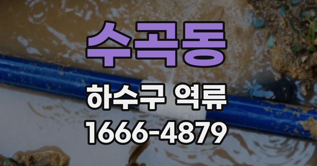 수곡동 하수구 역류