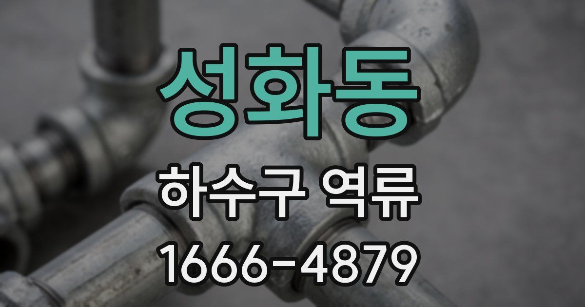 성화동 하수구 역류