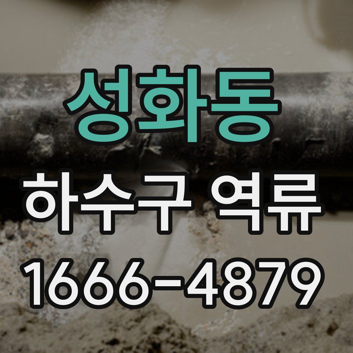 성화동 하수구 역류