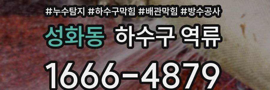 성화동 하수구 역류