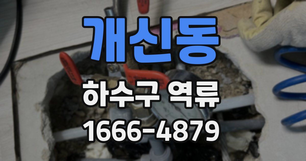 개신동 하수구 역류