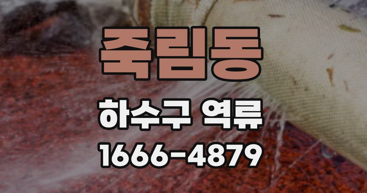 죽림동 하수구 역류