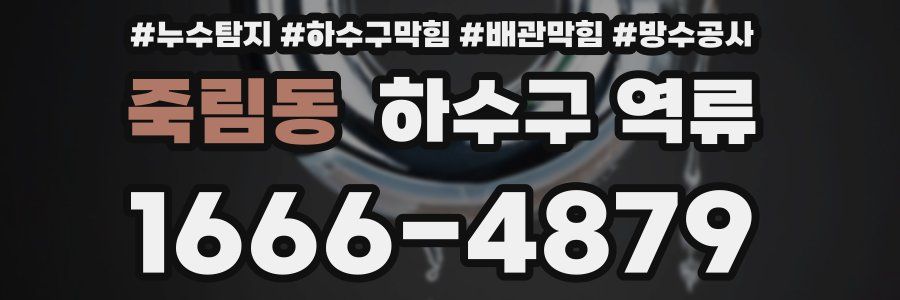 죽림동 하수구 역류