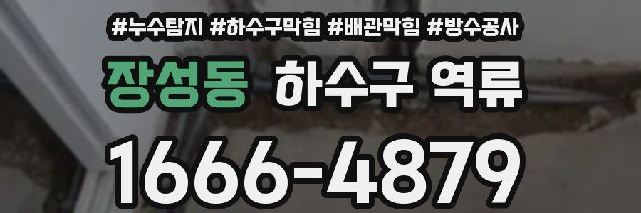 장성동 하수구 역류