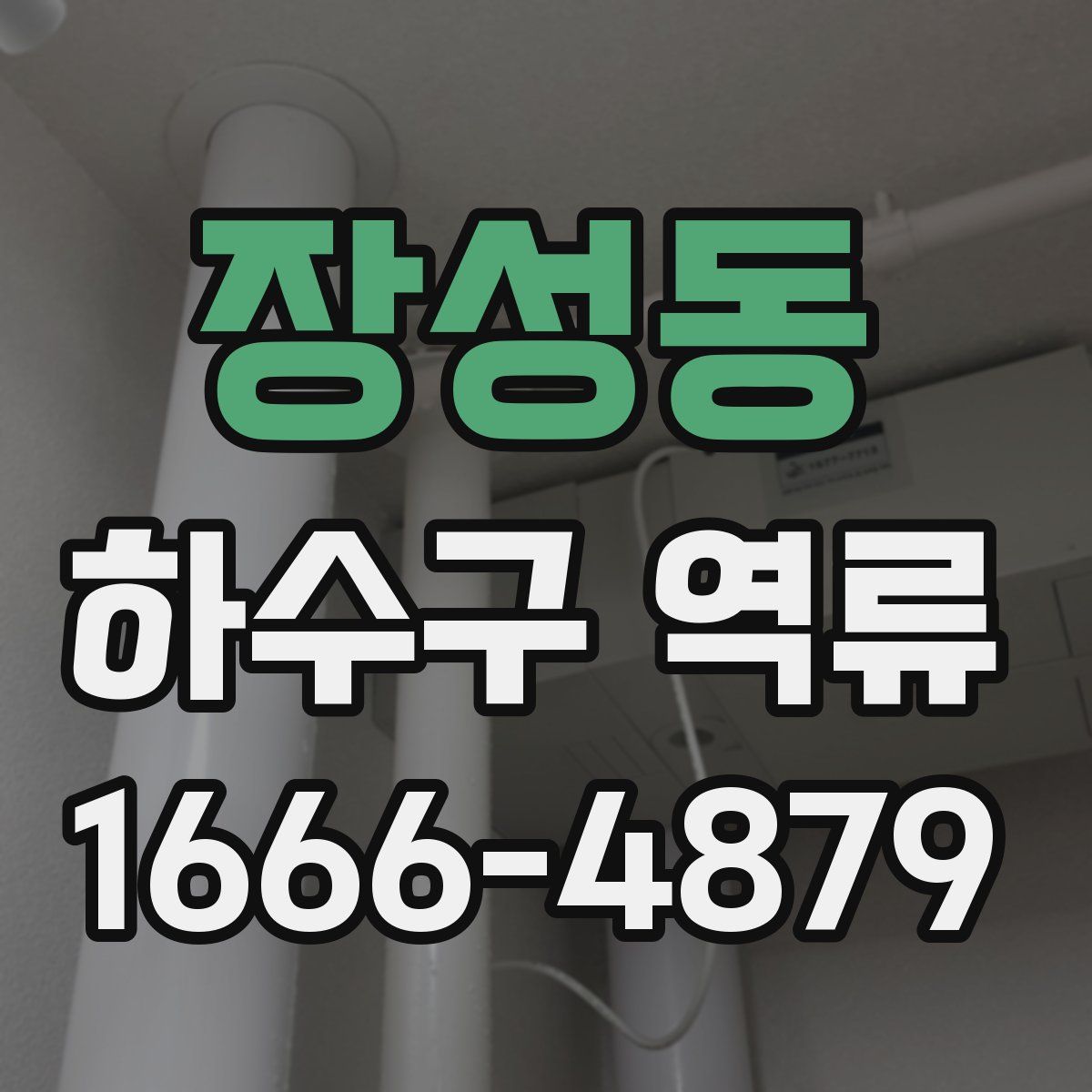 장성동 하수구 역류