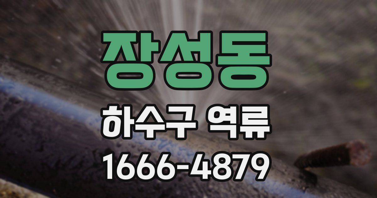 장성동 하수구 역류