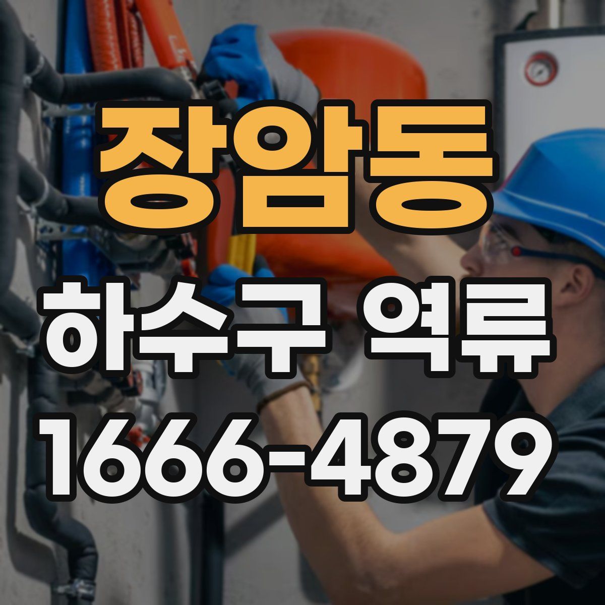 장암동 하수구 역류