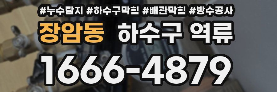 장암동 하수구 역류