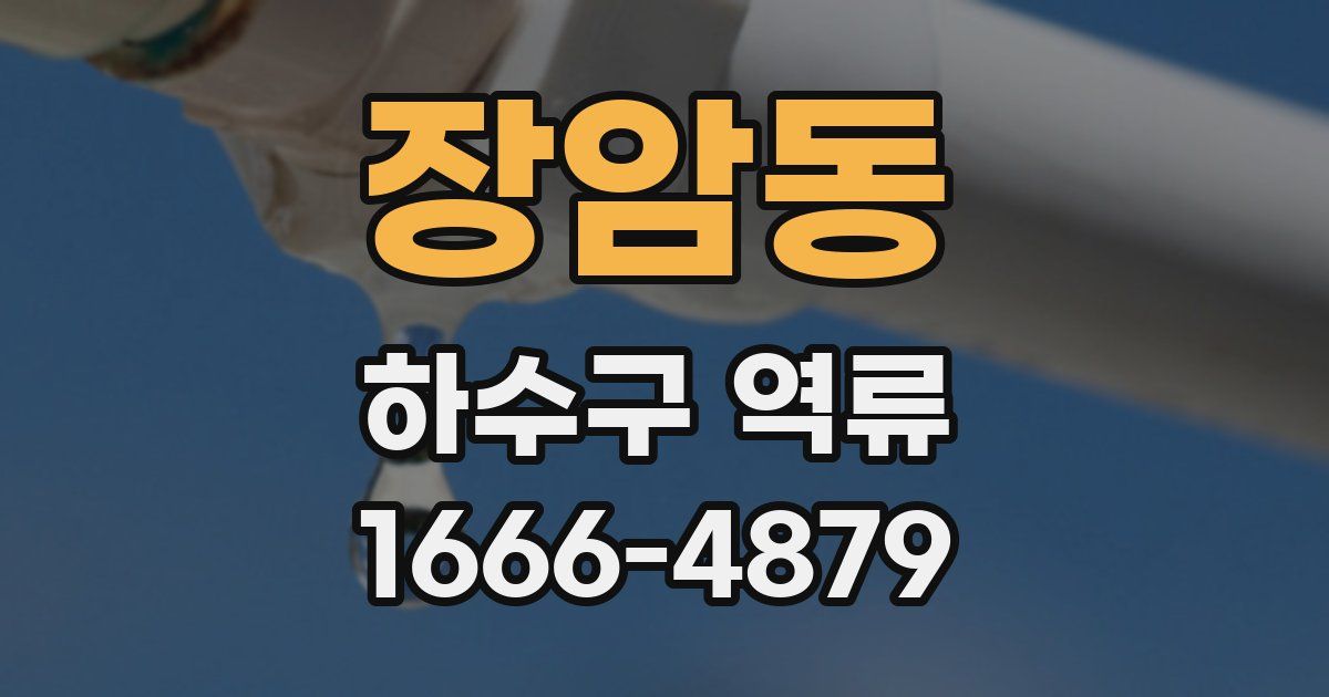 장암동 하수구 역류