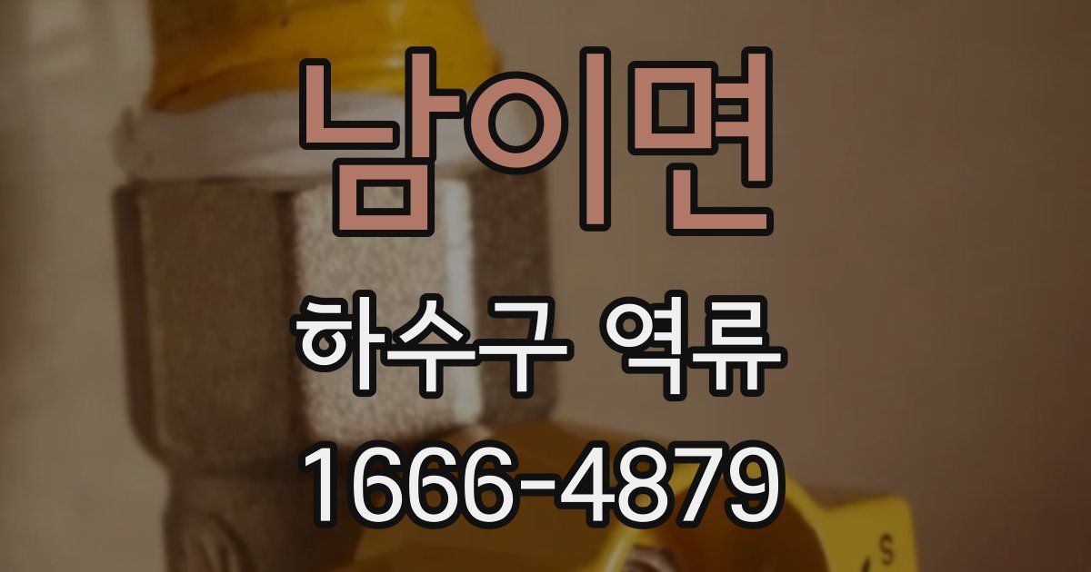 남이면 하수구 역류