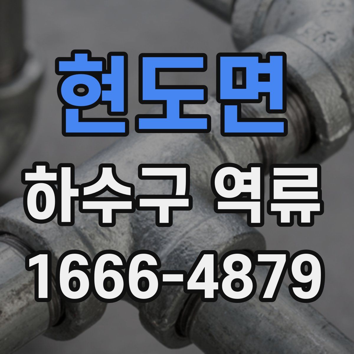 현도면 하수구 역류