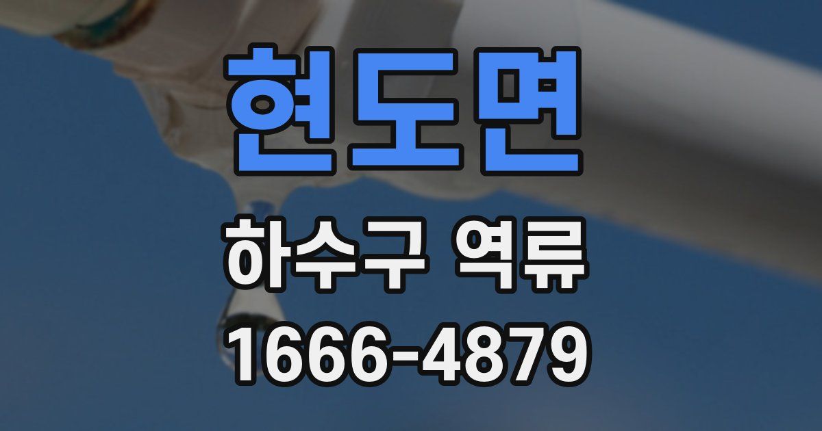 현도면 하수구 역류