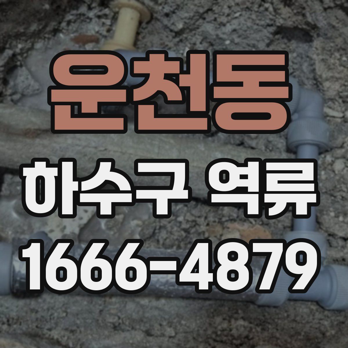 운천동 하수구 역류