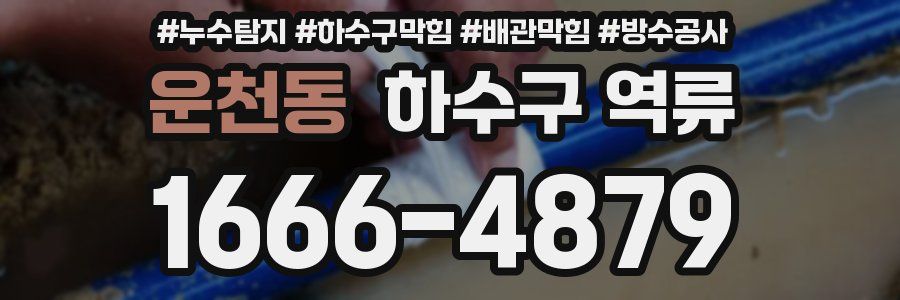 운천동 하수구 역류