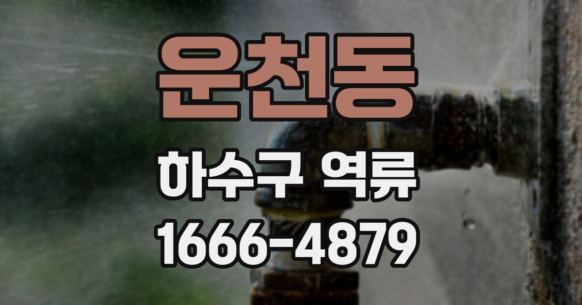 운천동 하수구 역류