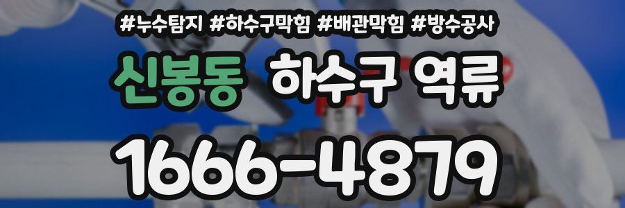 신봉동 하수구 역류
