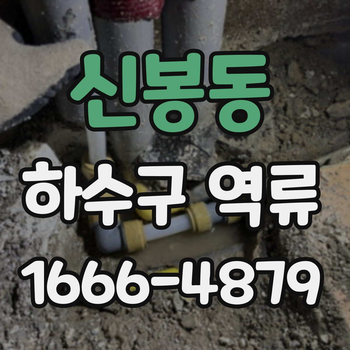 신봉동 하수구 역류