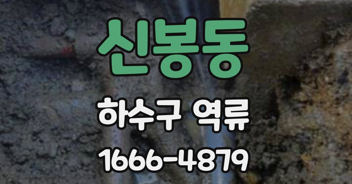 신봉동 하수구 역류