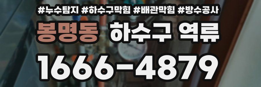 봉명동 하수구 역류