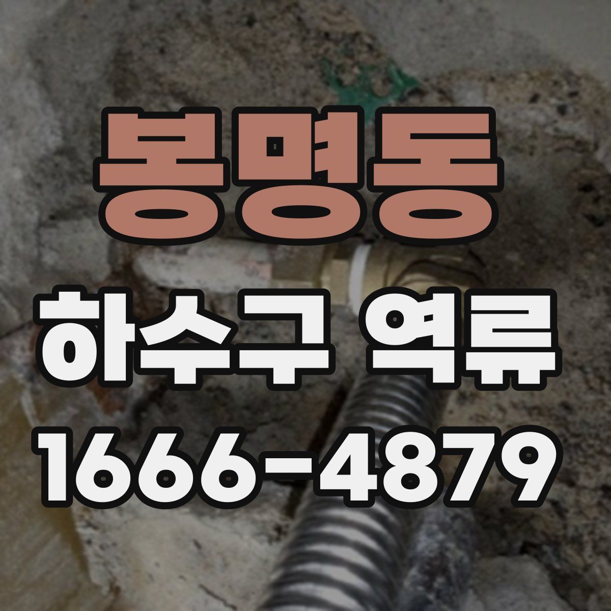 봉명동 하수구 역류