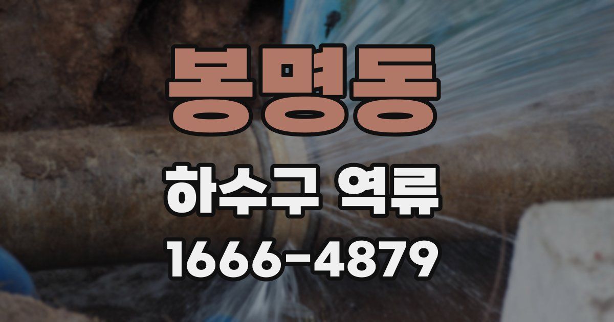 봉명동 하수구 역류