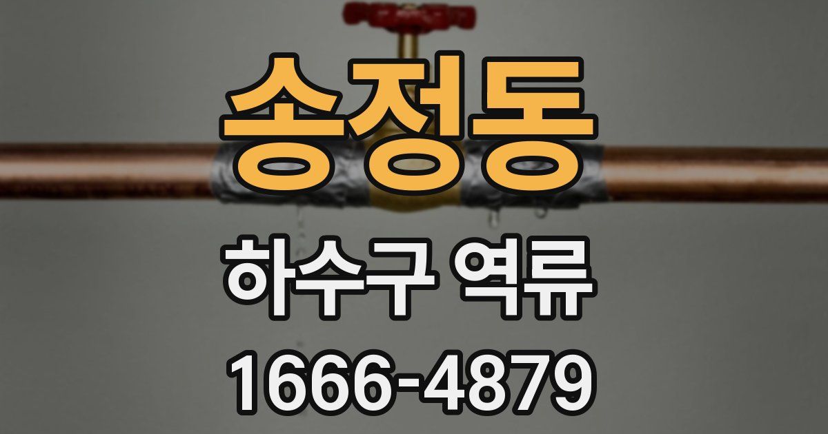 송정동 하수구 역류