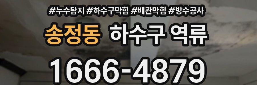 송정동 하수구 역류