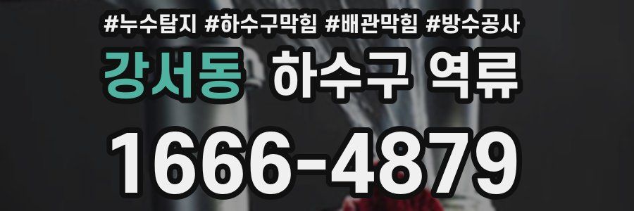 강서동 하수구 역류